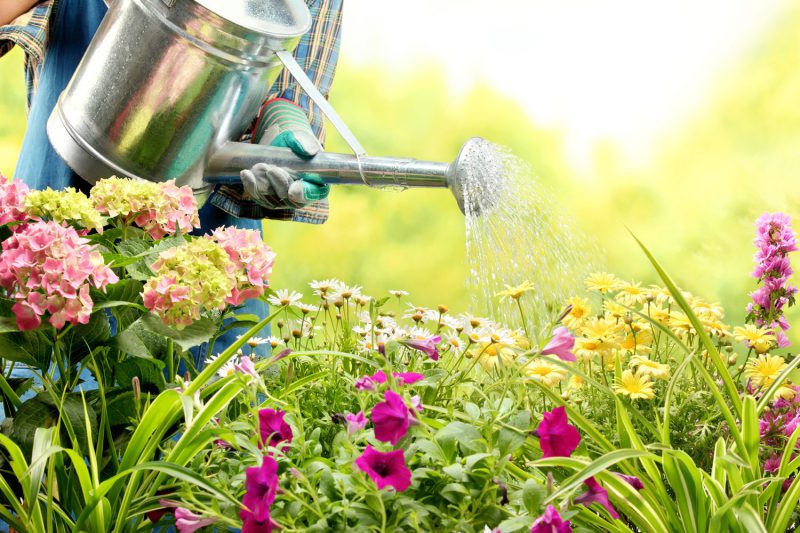 How can Mulch Help Your Garden?