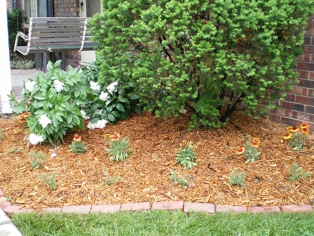improve your landscaping, need mulch in Colorado