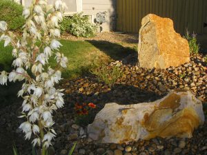 Yard showcasing stunning boulder landscaping, demonstrating top tips for outdoor space transformation