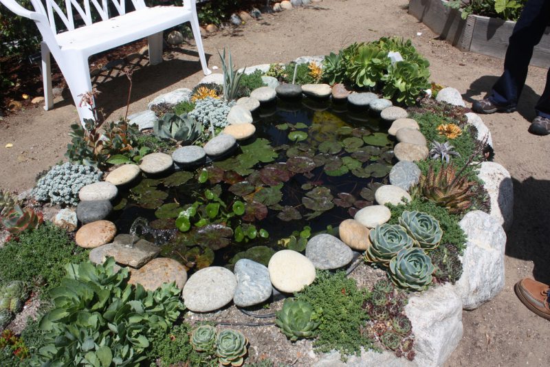 In-Groud Pond Water Feature