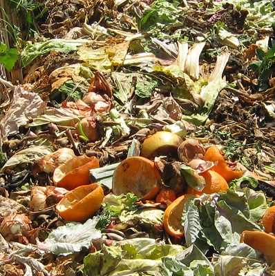 Composting Problem Solutions